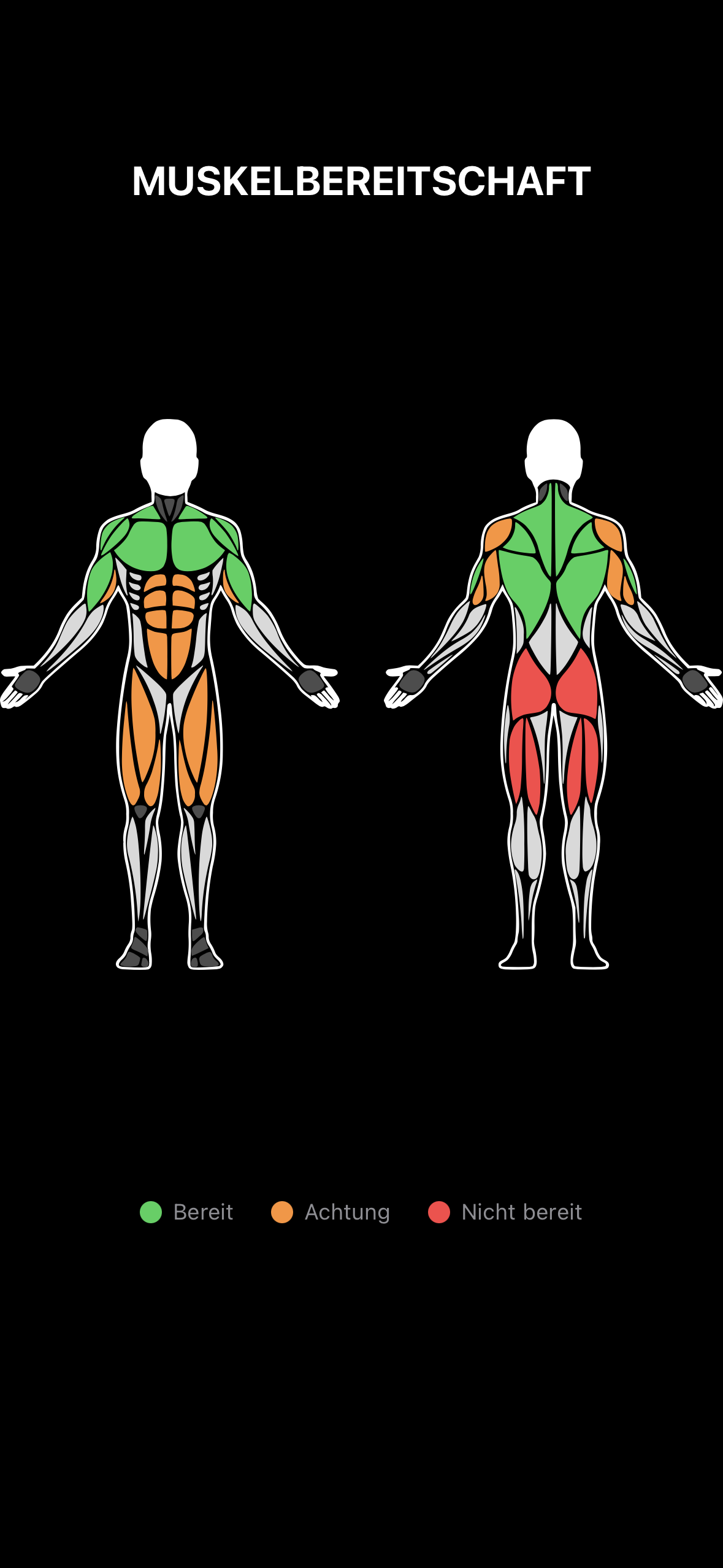 MuscleMonitor Muskelbereitschaft